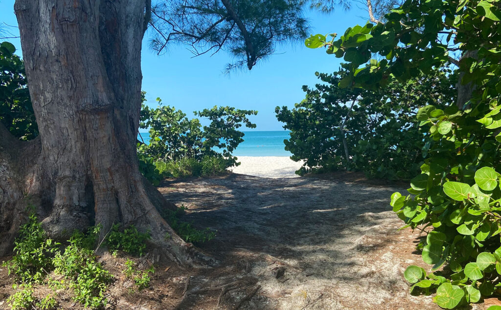 Delnor Wiggins Beach in Naples, Florida