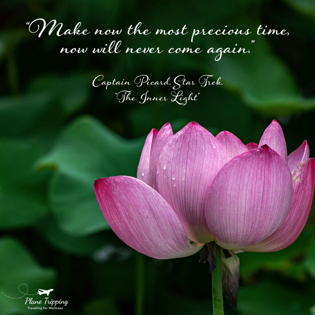 “Make now the most precious time, now will never come again.” —Captain Picard, Star Trek, “The Inner Light”