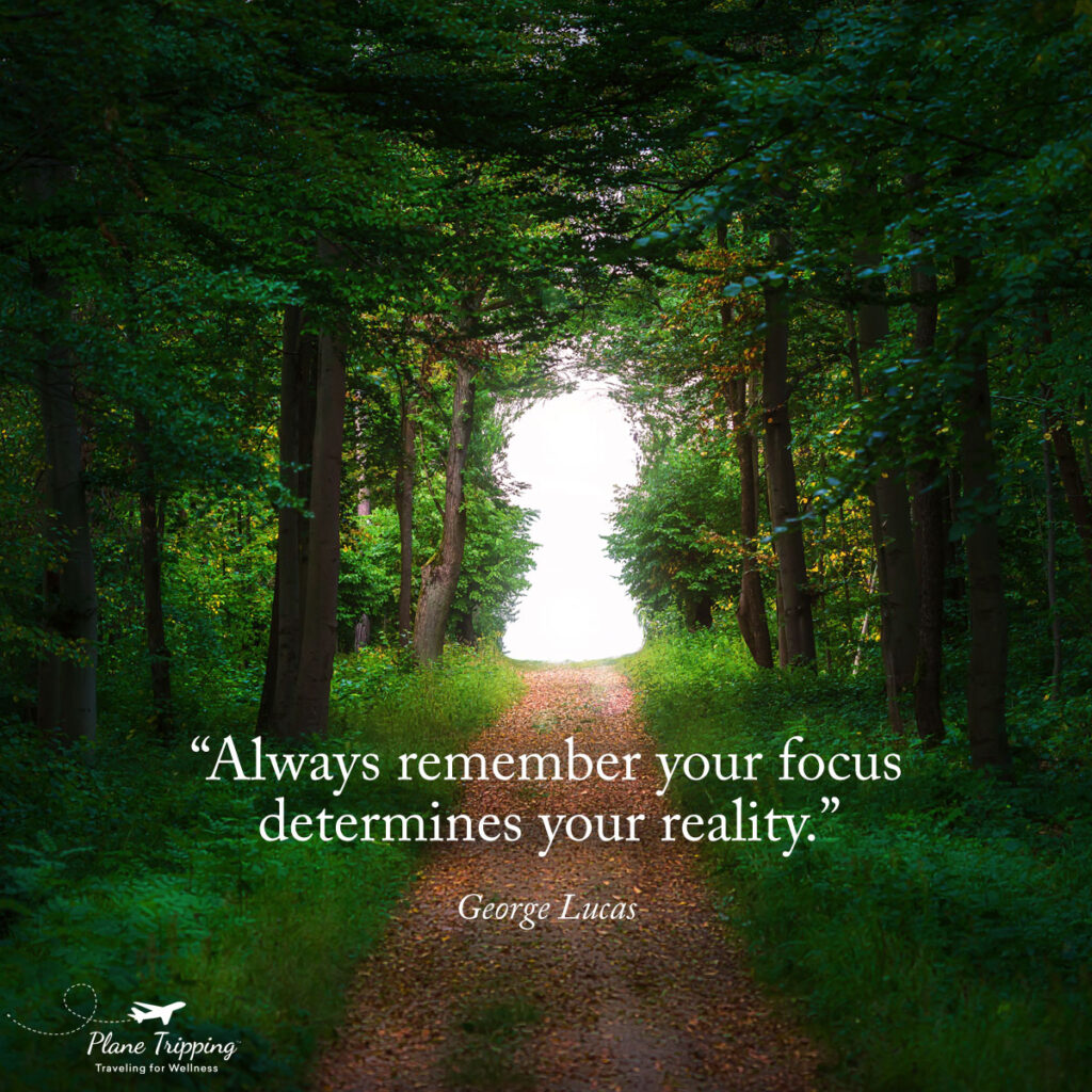 Always remember your focus becomes your reality. - George Lucas