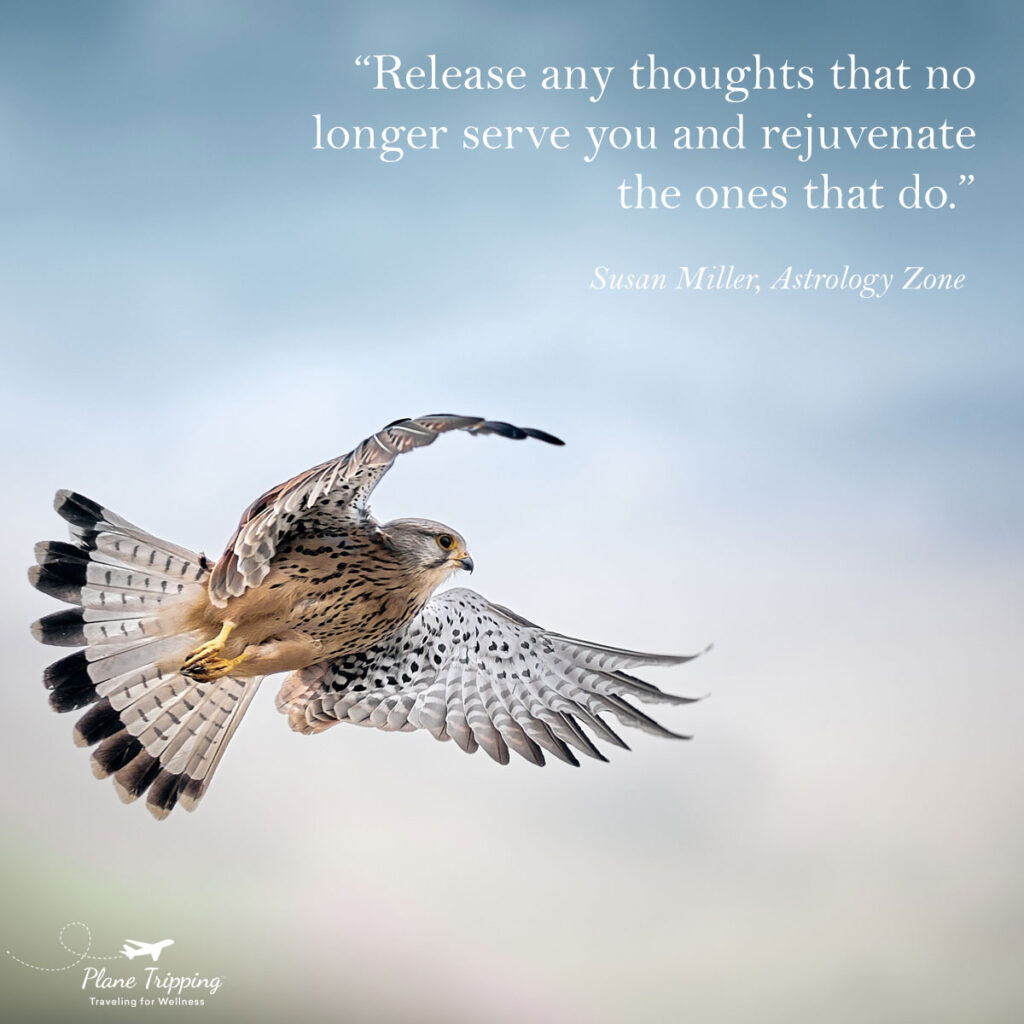 Release any thoughts that no longer serve you and rejuvenate those that do. - Susan Miller