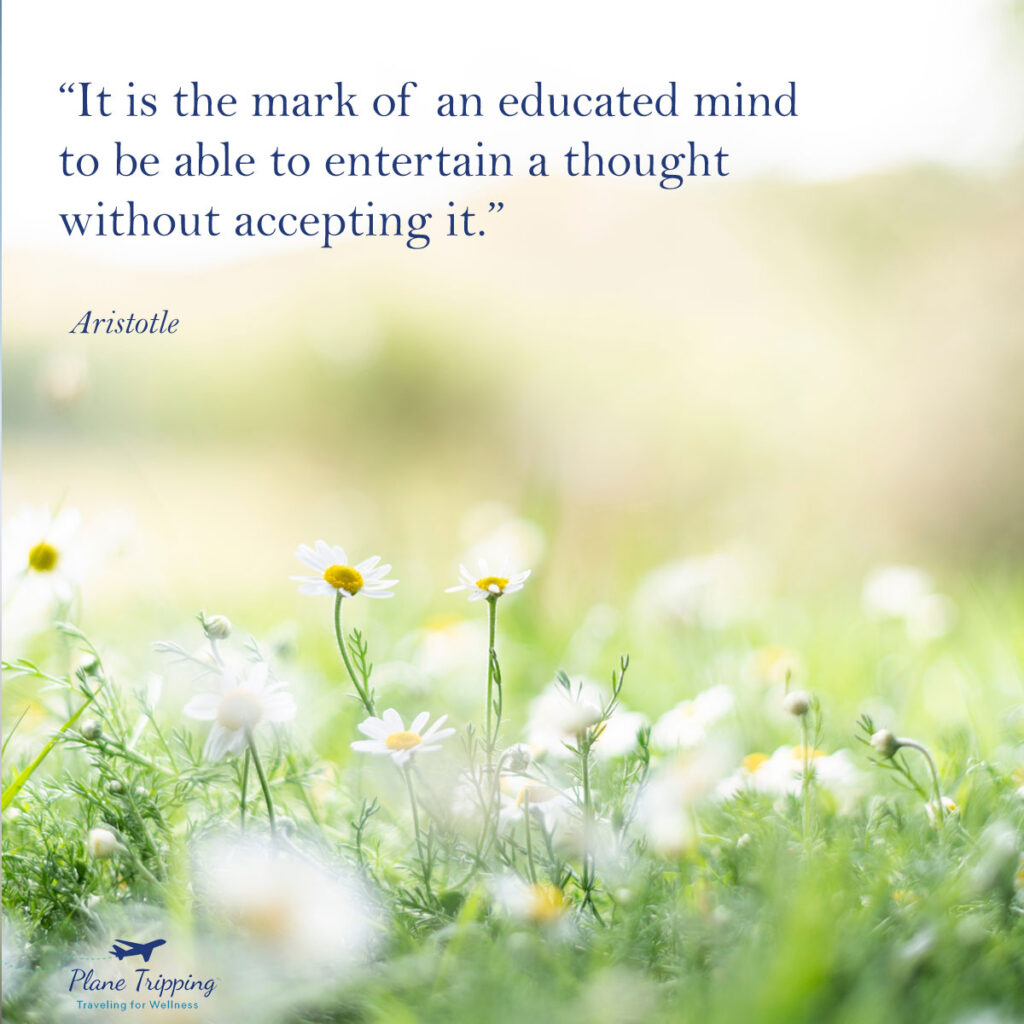 “It is the mark of an educated mind to be able to entertain a thought without accepting it.”