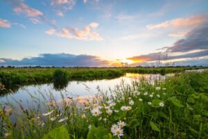 June 2025 Numerology Report