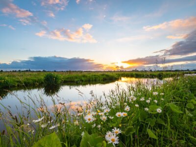 June 2025 Numerology Report