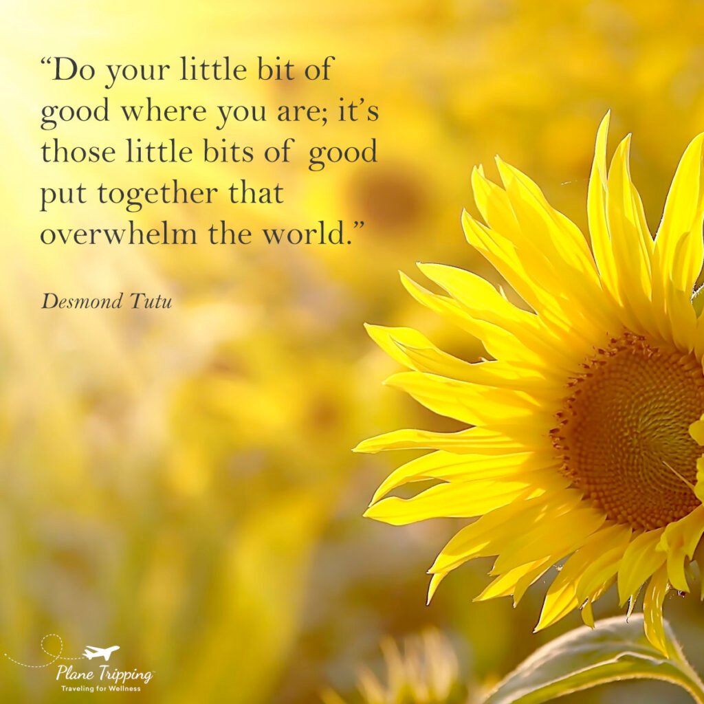 “Do your little bit of good where you are; it’s those little bits of good put together that overwhelm the world.”—Desmond Tutu