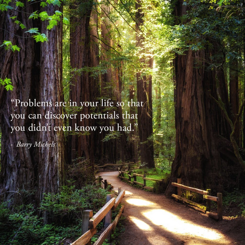 “Problems are in your life so that you can discover potentials that you didn’t even know you had.”—Barry Michels