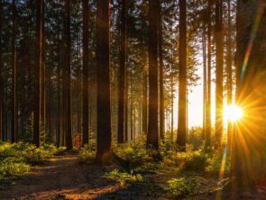 September 2025 Numerology