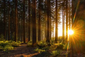 September 2025 Numerology
