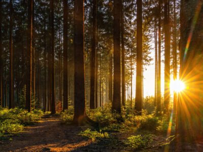 September 2025 Numerology