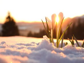 Numerology for March 2026